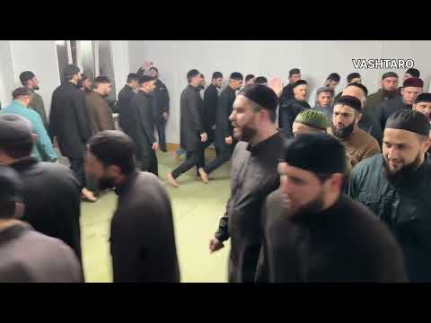 Видео: Гараевер х1усмехь. 12.10.2025. Жима-Атаг1а