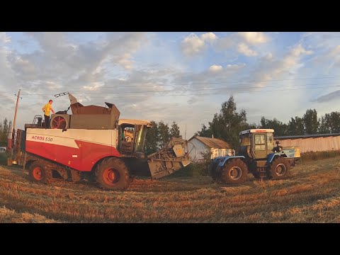 Видео: Комбайны ломаются. Акрос-530 уезжает с поля на буксире ХТЗ-17221. Молотим пшеницу на семена.