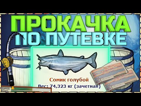 Видео: РР3 ПРОКАЧКА ОПЫТА ПО ПУТЕВКАМ!