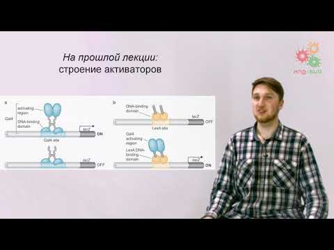 Видео: Регуляция работы генов. Регуляторные РНК (без музыки)