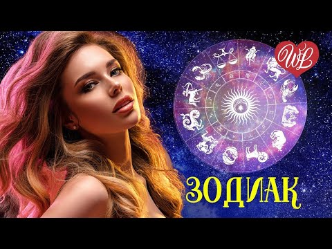 Видео: 150 ПЕСЕН О ЛЮБВИ ♥ 600 МИНУТ НАСЛАЖДЕНИЯ ♥ БУКЕТ ИЗ БЕЛЫХ РОЗ ♥ WLV ЗОДИАК