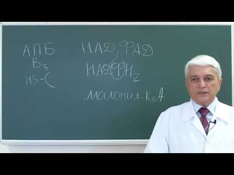 Видео: Липиды 3