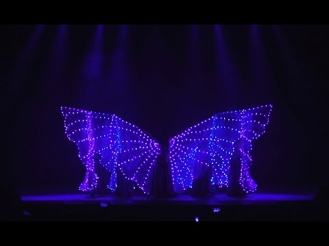 Видео: Anchare - Starlight night (Led wings)/ Анчарэ - Звездная ночь (Диодные крылья)