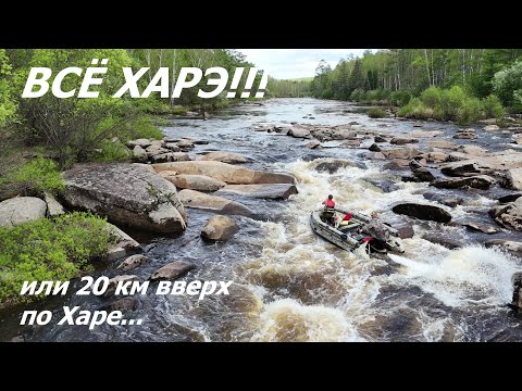 Видео: ВСЁ ХАРЭ!!! или 20 км вверх по Харе...
