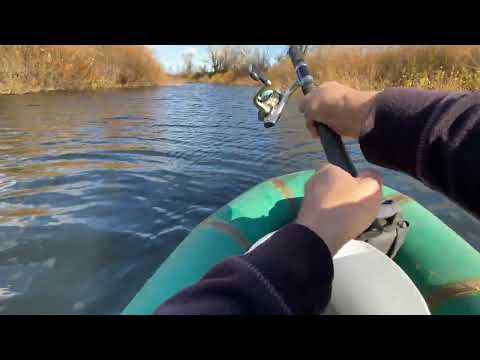 Видео: Ловля щуки на погремушку