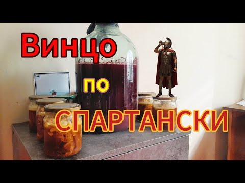Видео: 300% СПАРТАНСКОЕ ВИНО! Готовка в условиях выживания из высохшего винограда (Царь Леонид одобряет)