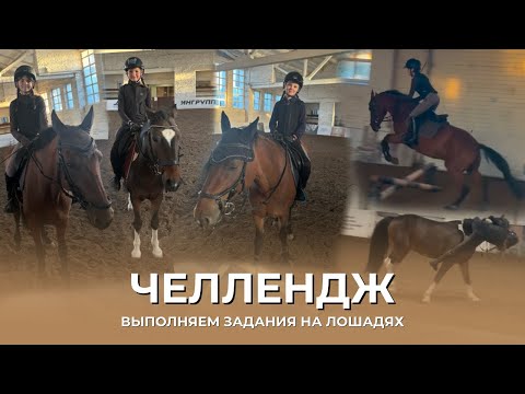 Видео: ЧЕЛЕНДЖ | ВЫПОЛНЯЕМ ЗАДАНИЯХ НА ЛОШАДЯХ