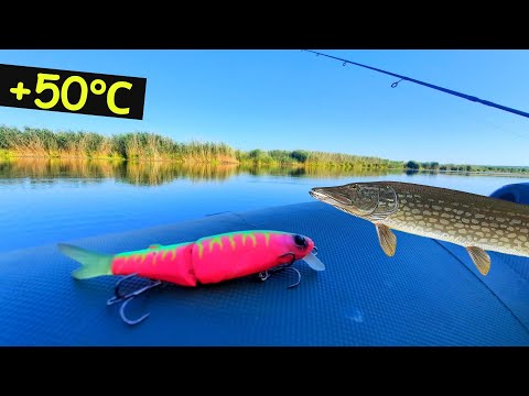 Видео: Щука Влітку🌞 Як впіймати Щуку в Аномальну Літню Спеку?! Jackall Tiny Magallon 88SP