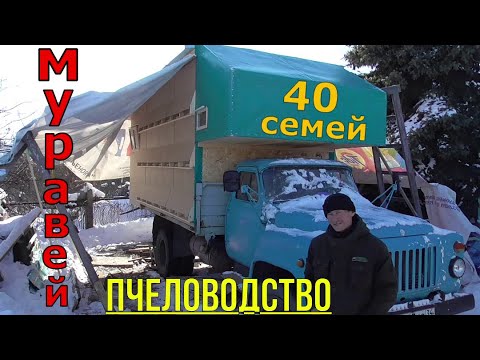 Видео: Пчеловодство / Маленький да удаленький / Пчелопавильон 40 семей.