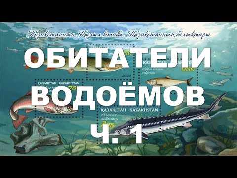 Видео: Обитатели водоёмов ч.1