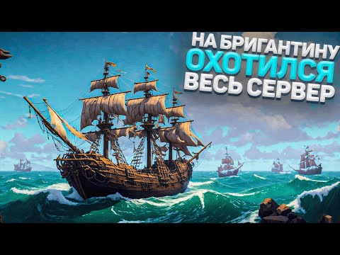 Видео: На Бригантину открыта охота!