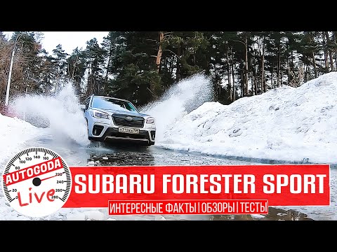 Видео: Полный Обзор - Новый Subaru Forester Sport 2021. Интересные факты о Субару Форестер Спорт 2021