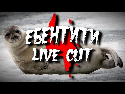 Видео: Ебентити V Нарезка со Стрима #4 | Identity V