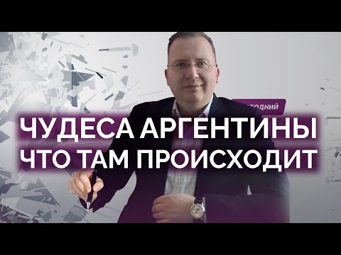 Видео: Чудеса Милея в Аргентине: что там происходит? / Алексей Кущ