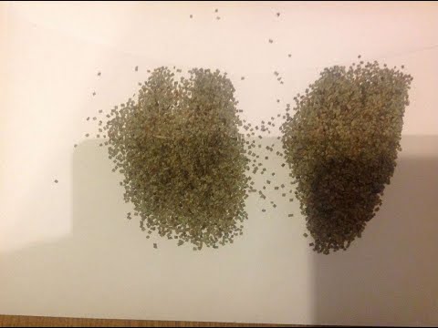 Видео: ТЕСТ ПОРОХА СУНАР,СОКОЛ НА СГОРАЕМОСТЬ (ДЛЯ ПОДПИСЧИКОВ)