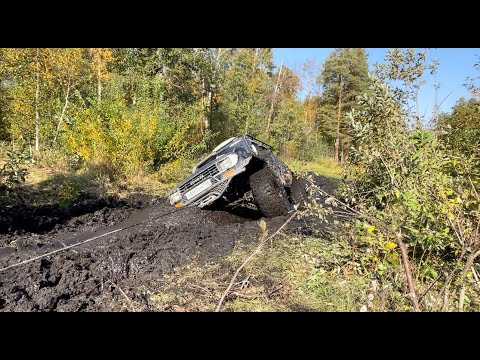 Видео: Снова Щучье, утонули в черняге