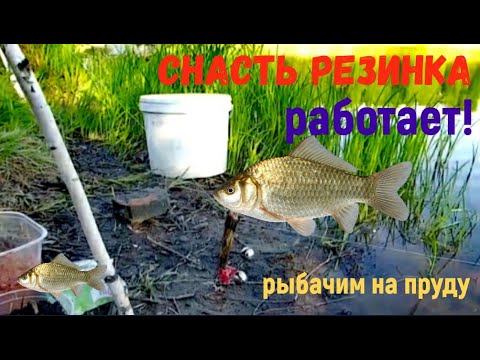 Видео: Снасть Резинка. Она работает до сих пор! Проверил снасть на пруду.