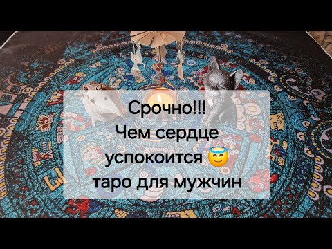 Видео: Срочно!!! 💥 Что было? 💣 Что будет? 💫Чем сердце успокоится? 💯таро для мужчин