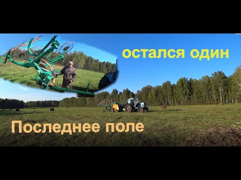 Видео: Остался один на последнем поле. Куда подевались мои помощники? Сенокос 2025  в деревне Окунево.
