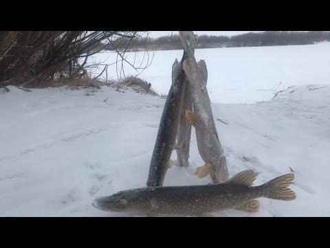 Видео: Открытие по тонкому льду ! Рыбалка на Ишиме !