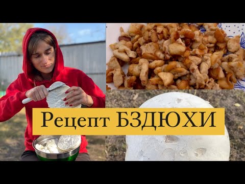 Видео: Рецепт БЗДЮХИ. / Даша Євтух ділиться рецептом приготування гриба бздюха або ще називають - ДОЩОВИК!