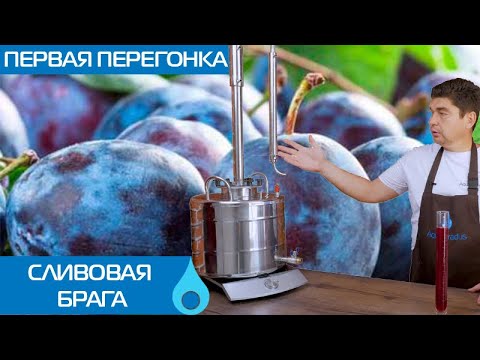 Видео: Сливовая брага - первая перегонка. Подготовка колец Рашига.