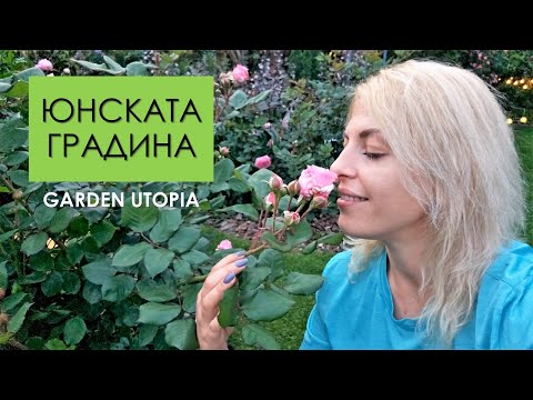 Видео: Вечерна OБИКОЛКА на градината  | 09.06.2023 г.