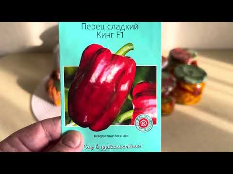 Видео: Супер Перец 2026,🫑🫑🫑новая коллекция 👍👍👍