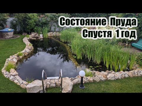 Видео: Состояние пруда спустя 1год