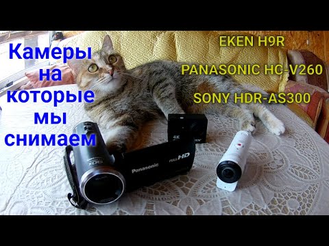 Видео: Обзор камер на которые мы снимаем.
