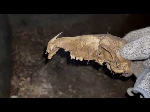 Видео: Карельский перешеек. В июне 44-го... Фильм 6