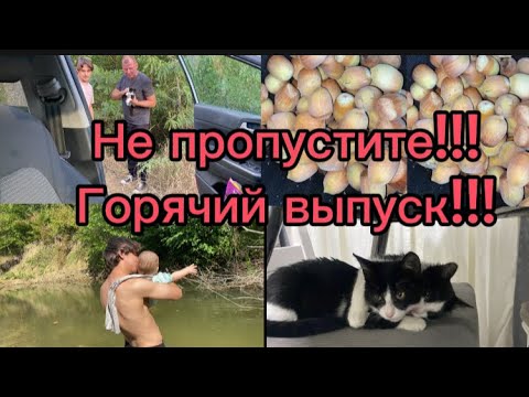 Видео: 1335❤️Были другие планы/ На горной реке с самыми близкими/Встреча близнецов после разлуки