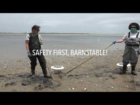 Видео: Учимся ловить моллюсков | Эпизод 4, Снаряжение и безопасность