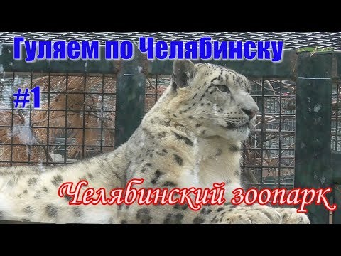 Видео: Челябинск #1. Челябинский зоопарк.