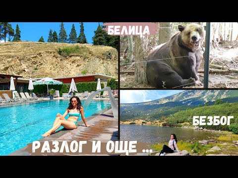 Видео: Разлог | 🐻 Парк за танцуващи мечки Белица | хижа Безбог ⛰️ | Терма спа вила Виктория 