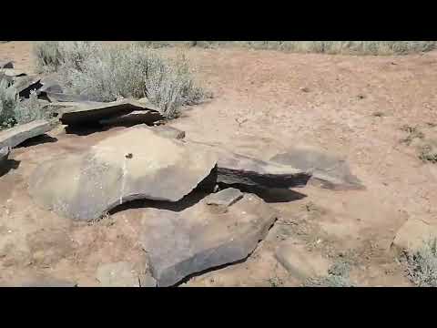 Видео: Аркалык! Следы поселений в степи