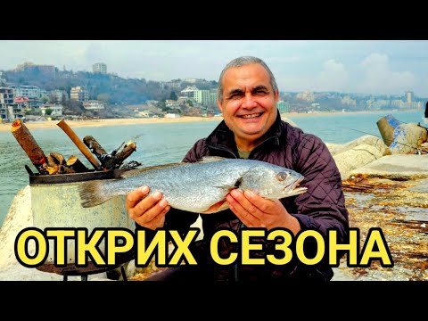 Видео: Хванах само едно парче! Печена риба за всички колеги рибари на буната!