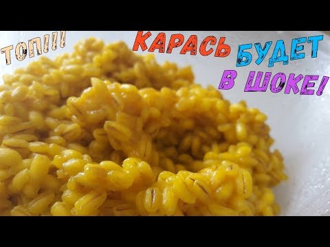 Видео: УБОЙНАЯ насадка на КАРАСЯ- перловка с РЕВИТОМ!!! Секретно!