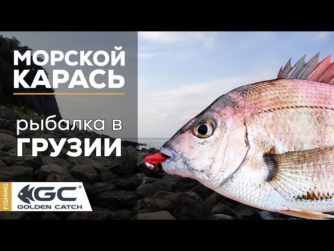 Видео: Морской карась на силикон! Рокфишинг в Черном море. Морская рыбалка.