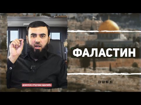 Видео: Дар барои Фаластин