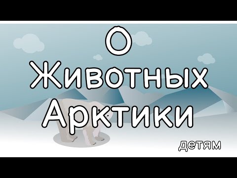 Видео: Животные Арктики. Все обо всем.