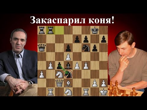 Видео: Яростная атака в Волжском гамбите! Евгений Бареев  - Гарри Каспаров. Линарес 1994. Шахматы