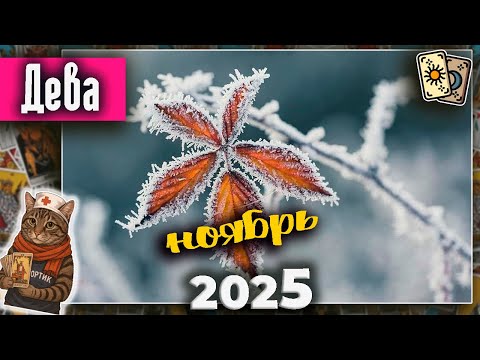 Видео: Дева Таро Ноябрь 2025