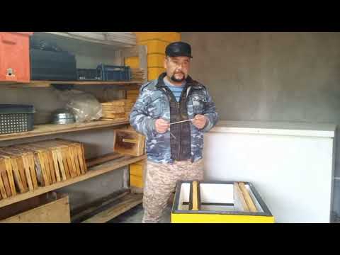 Видео: Клещ Тропилелапсоз.Ответы на Вопросы!!!