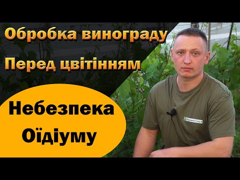 Видео: Оїдіум та інші хвороби і їх профілактика на початку сезону.  Комплексна обробка винограду. Част 1