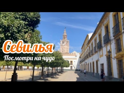 Видео: Чудесная Севилья. Отпуск Золотая середина Выпуск 43