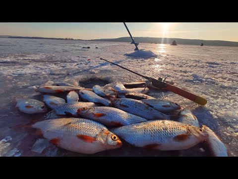 Видео: За КРУПНОЮ ПЛОТВОЮ р. Дніпро затока Мідяне. Рибалка на плотву.