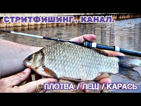 Видео: Наноджиг. Стритфишинг. Бель в центре города
