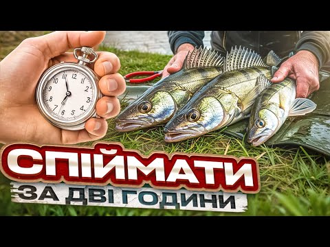 Видео: Що і Скільки Можна Зловити за Дві Години на Дніпрі?!