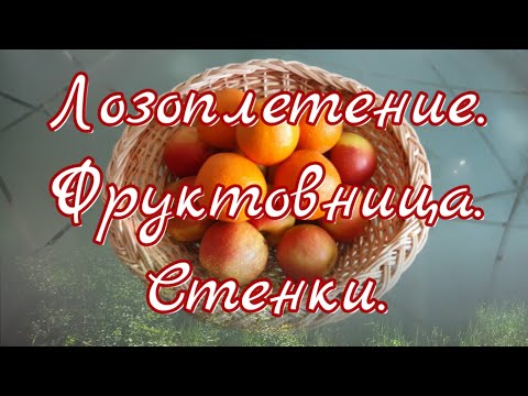 Видео: Лозоплетение. "Стенки" фруктовницы. @DeduschkaSanja